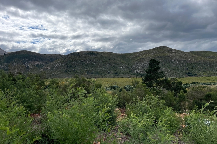 0 Bedroom Property for Sale in Haarlem Western Cape